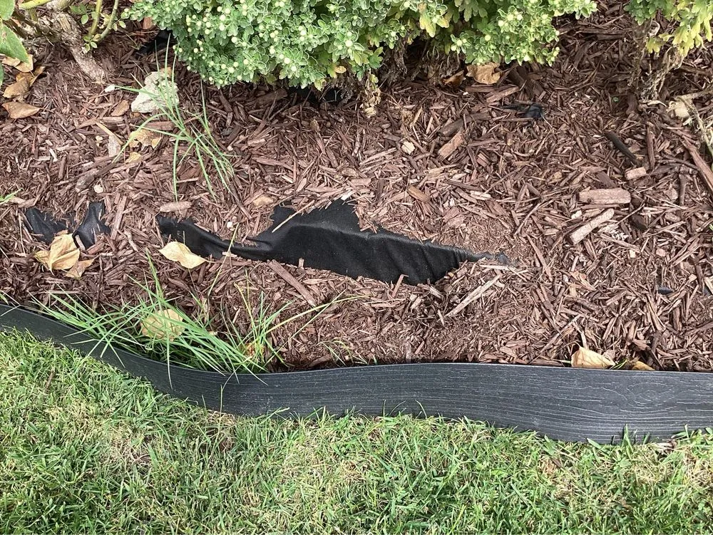 Top-rated landscape installation in Ceres, CA - MalfaScape Landscaping