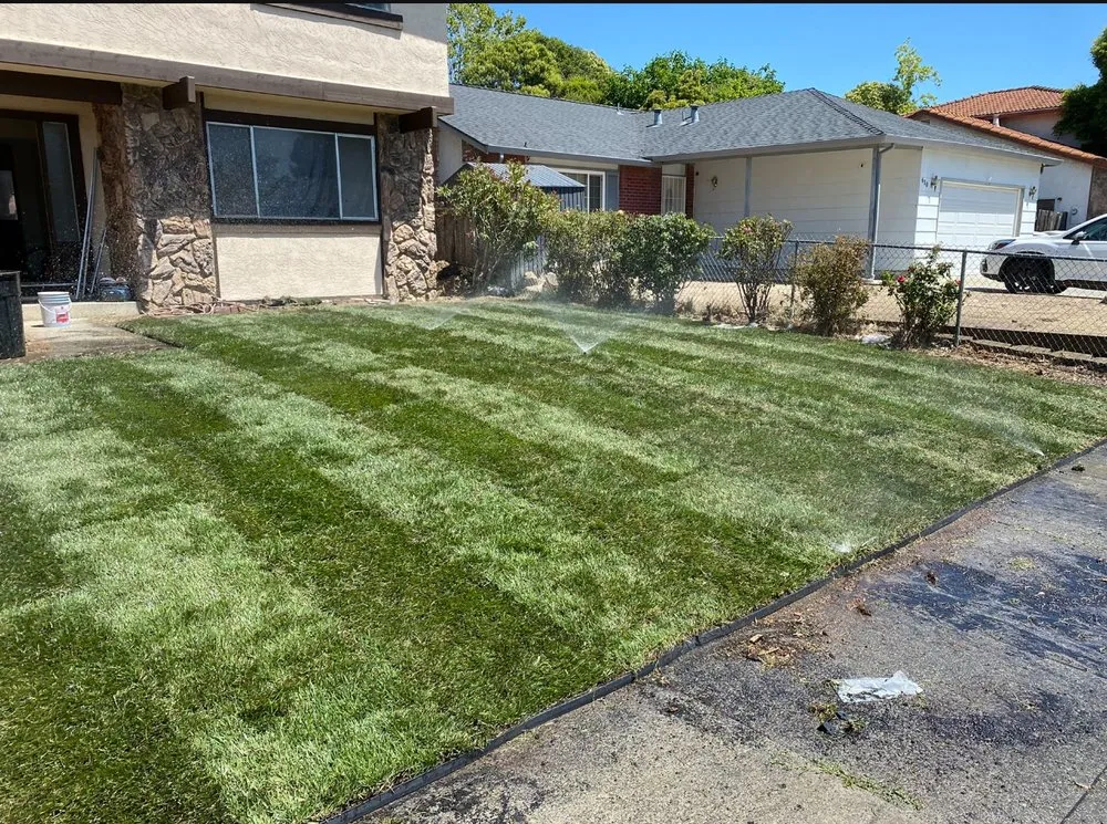 Local yard maintenance in Ceres, CA - MalfaScape Landscaping