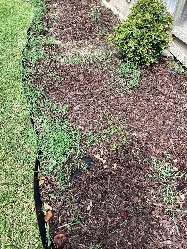 Expert outdoor landscaping for outdoor upgrades across Ceres, CA - MalfaScape Landscaping