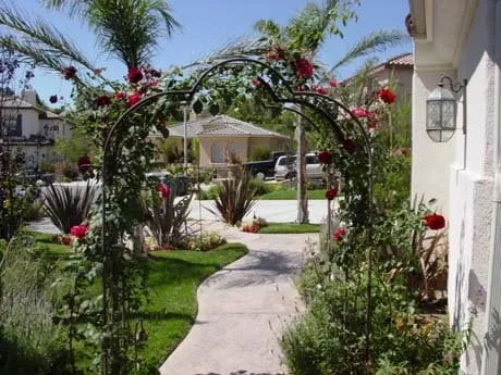 Trusted yard cleanup service for residential properties in Simi Valley, CA by Malibu Canyon Landscape & Maintenance