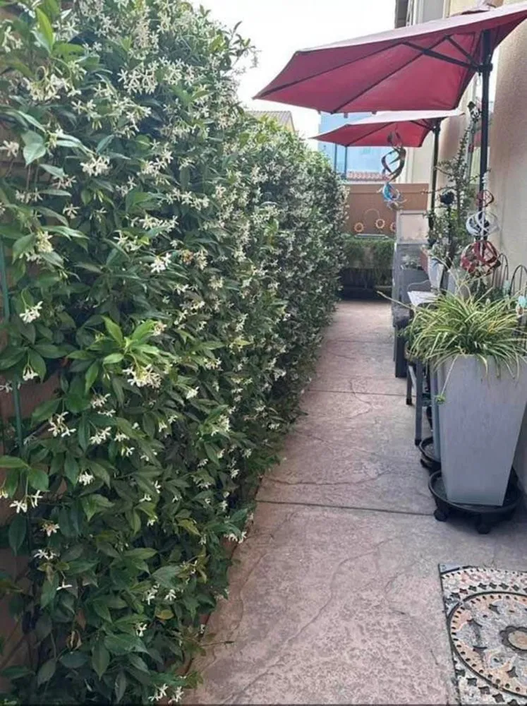 Affordable residential landscaping in Simi Valley, CA - Malibu Canyon Landscape & Maintenance