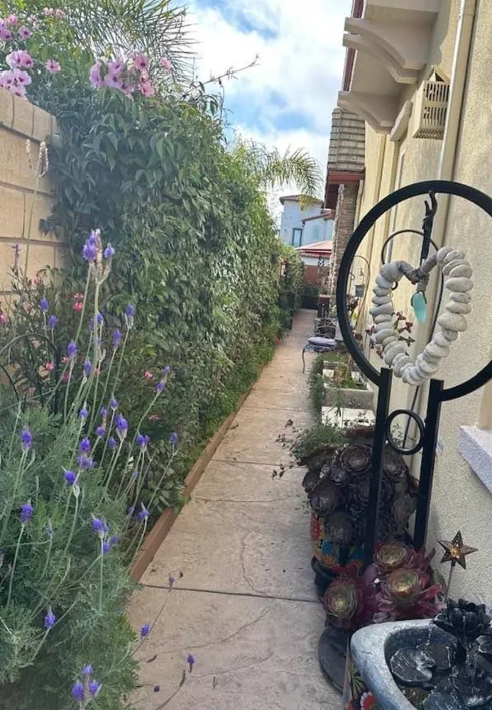 Professional yard cleanup service in Simi Valley, CA by Malibu Canyon Landscape & Maintenance