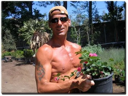 Reliable yard cleanup service for beautiful yards across Agoura Hills, CA - Malibu Coast Designers & Builders