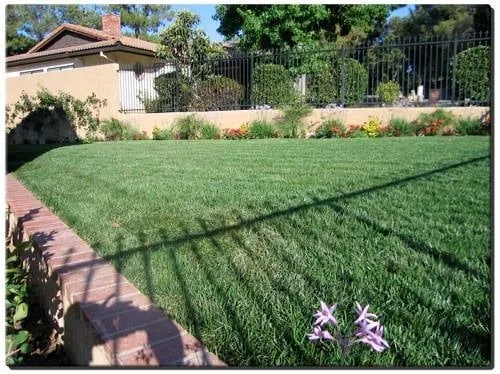 Affordable outdoor landscaping in Agoura Hills, CA by Malibu Coast Designers & Builders