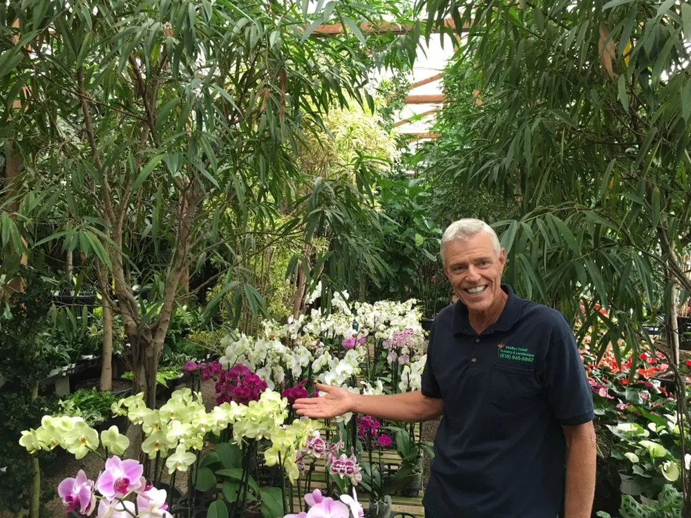 Top-rated yard cleanup service in Malibu, CA - Malibu Coast Nursery and Landscape