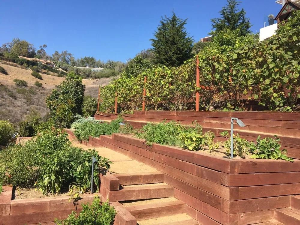 Professional lawn care service in Malibu, CA by Malibu Coast Nursery and Landscape