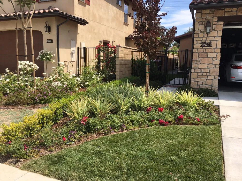 Custom landscape design experts serving Malibu, CA - Malibu Coast Nursery and Landscape