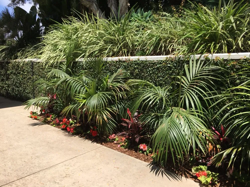 Professional yard maintenance with custom design in Malibu, CA by Malibu Coast Nursery and Landscape