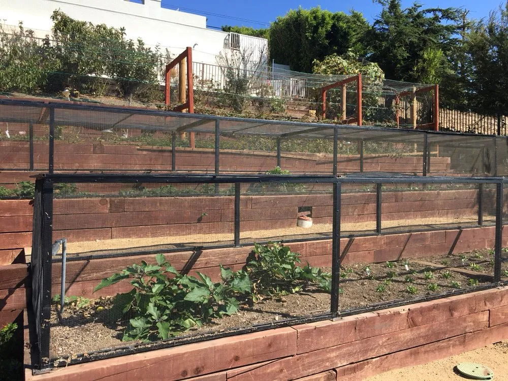 Trusted yard maintenance in Malibu, CA by Malibu Coast Nursery and Landscape