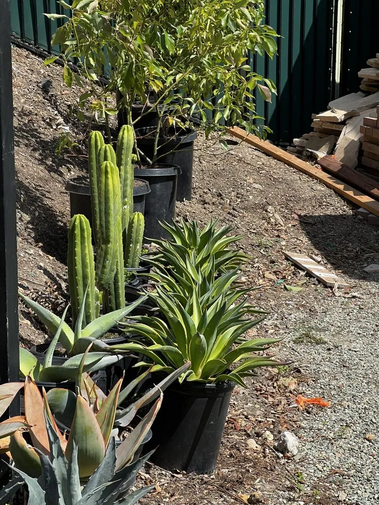 Custom lawn care service for homes across Malibu, CA - Malibu Coast Nursery And Maintenance