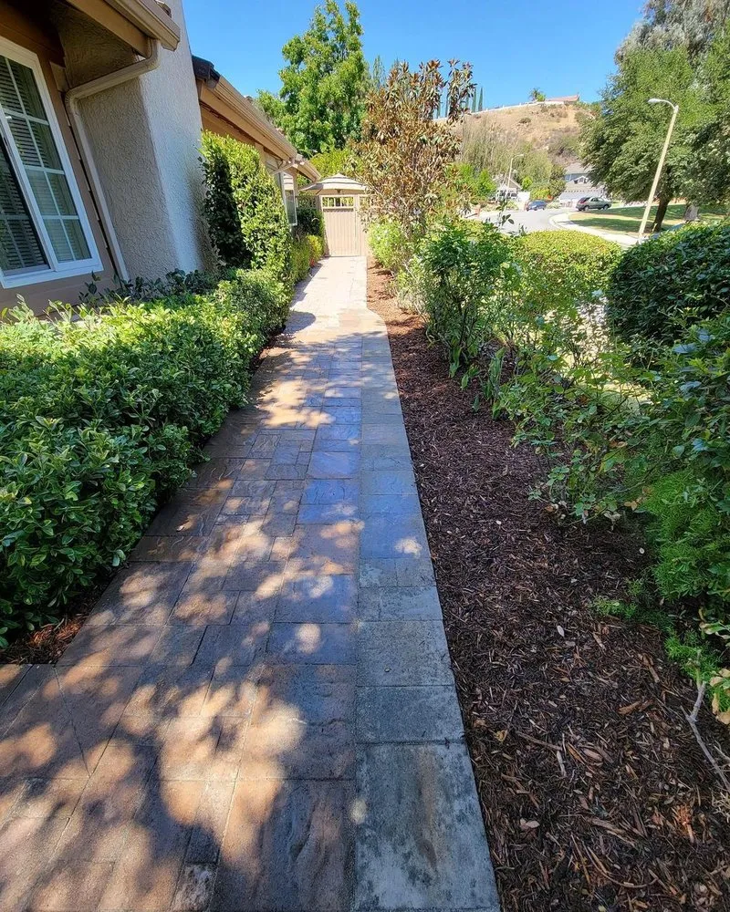Top-rated lawn care service for homes across Malibu, CA - Malibu Coast Nursery And Maintenance