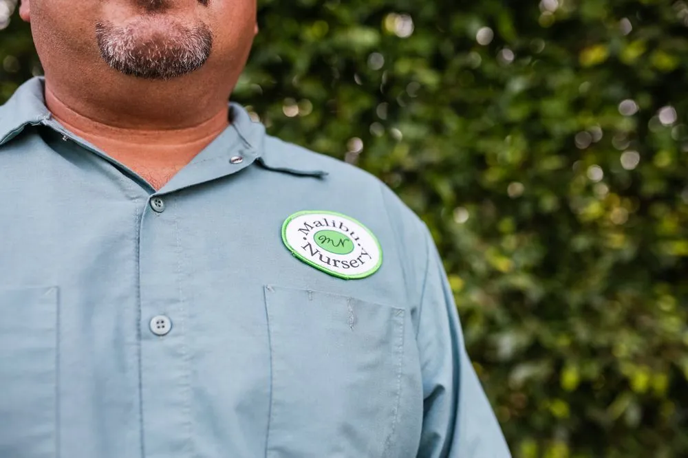 Expert yard cleanup service for beautiful yards in Malibu, CA by Malibu Nursery & Landscaping