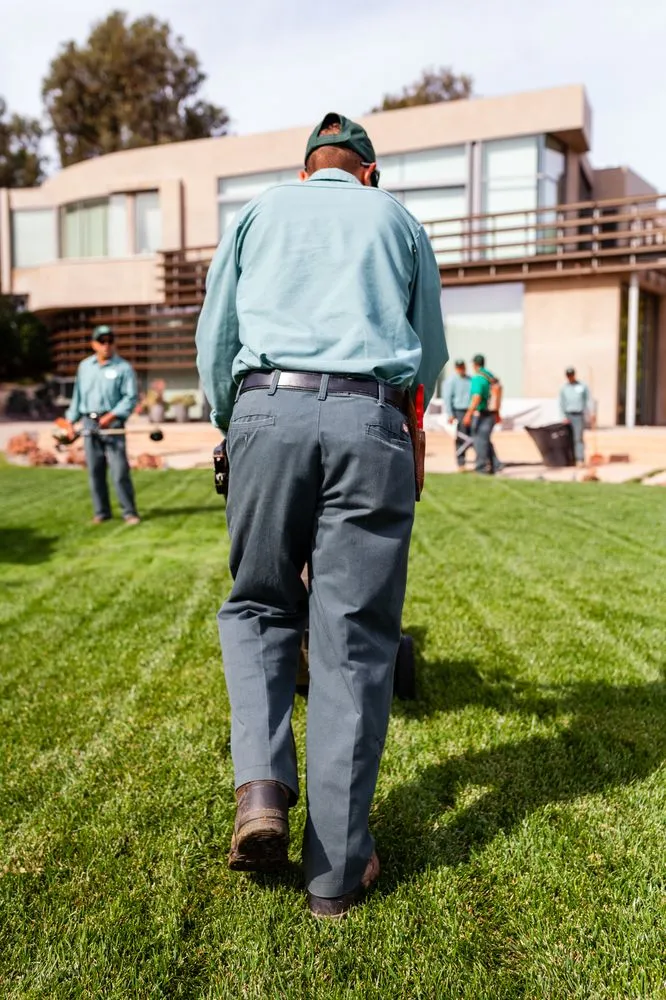 Professional yard maintenance for beautiful yards in Malibu, CA by Malibu Nursery & Landscaping
