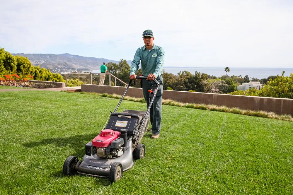 Professional landscape design in Malibu, CA - Malibu Nursery & Landscaping