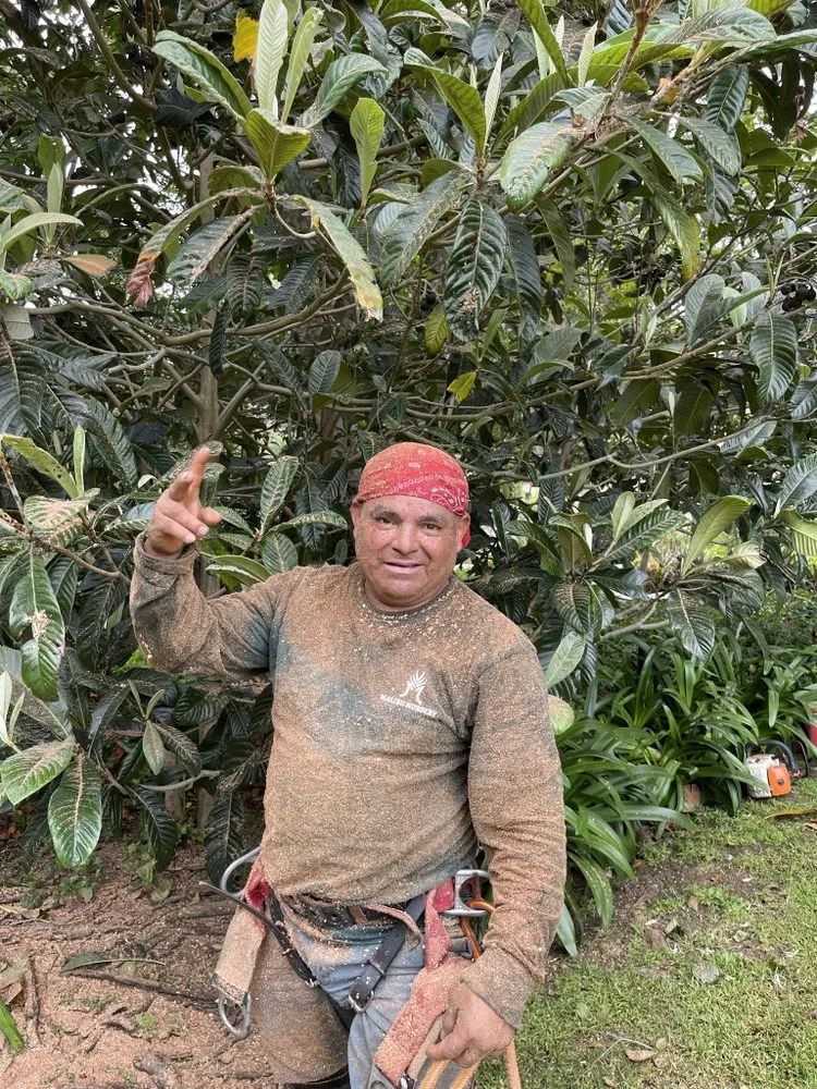 Custom landscape installation experts serving Malibu, CA - Malibu Nursery & Landscaping