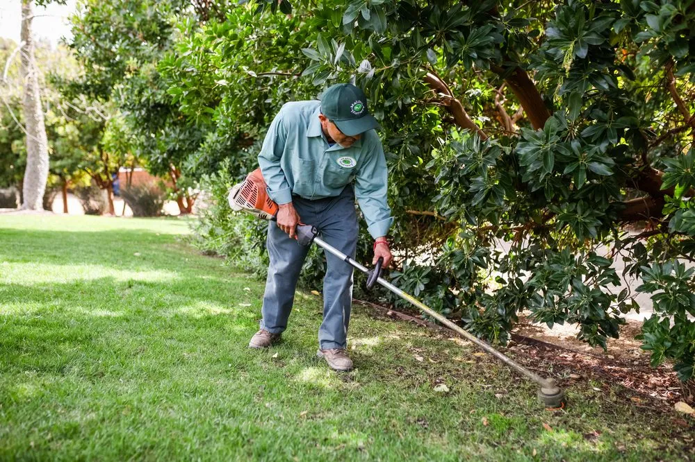 Top-rated yard maintenance experts serving Malibu, CA - Malibu Nursery & Landscaping