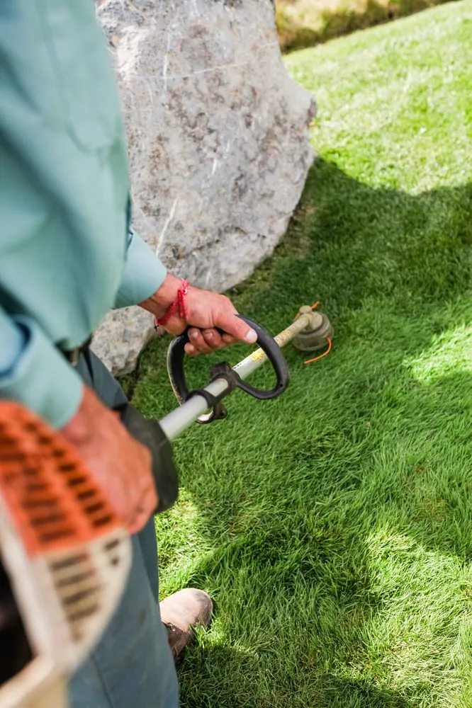 Local landscape installation in Malibu, CA - Malibu Nursery & Landscaping