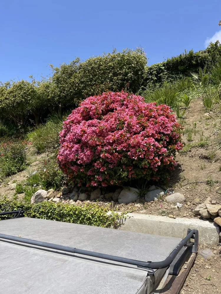 Affordable landscape installation for residential properties in Malibu, CA by Malibu Nursery & Landscaping