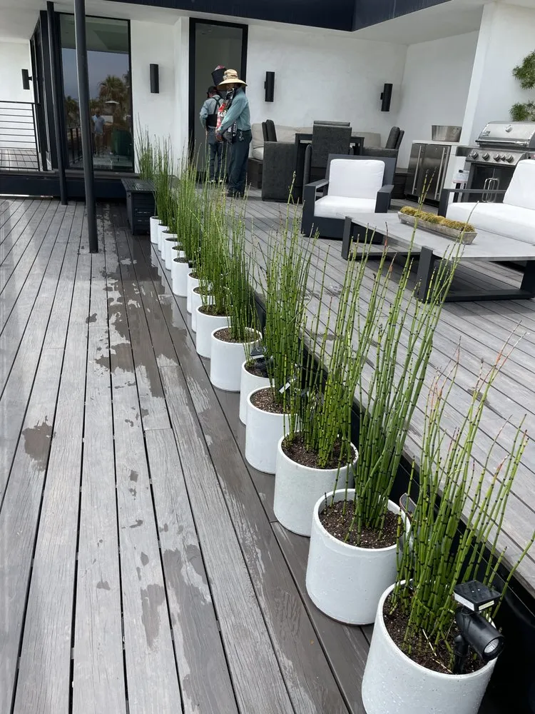 Expert outdoor landscaping in Malibu, CA - Malibu Nursery & Landscaping