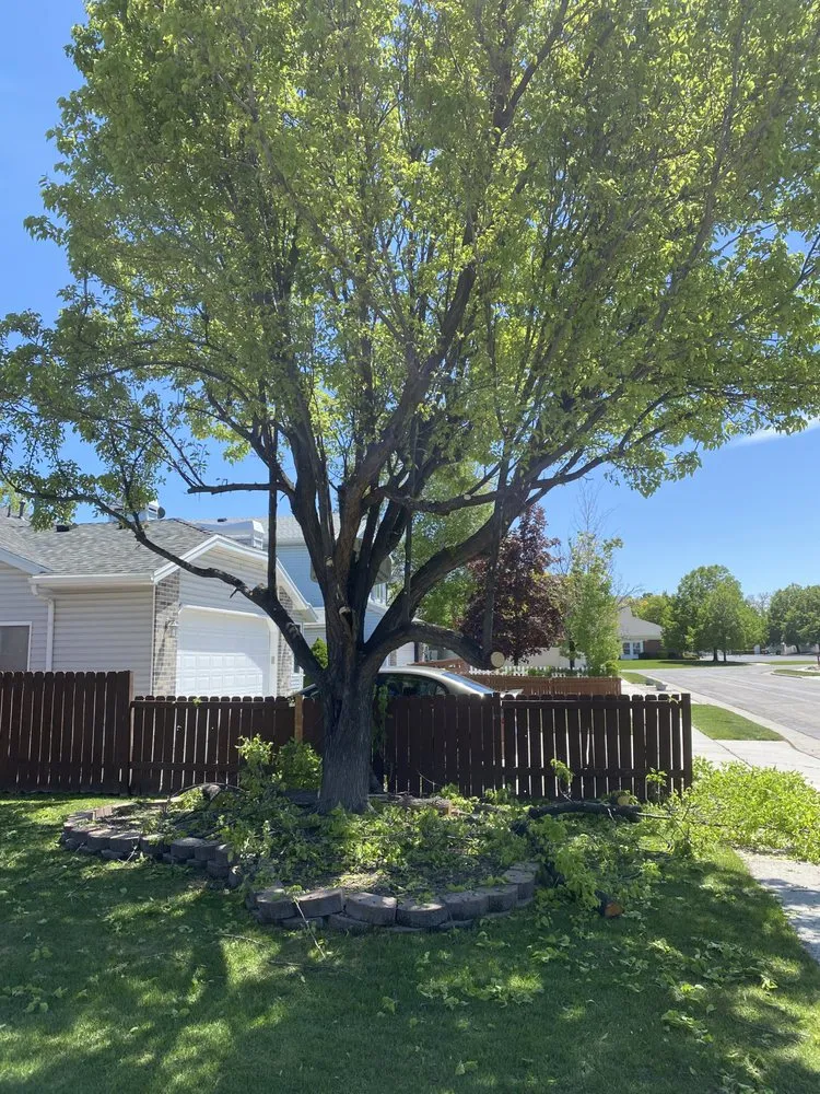 Expert outdoor landscaping in Magna, UT by Malie Tree service and concrete