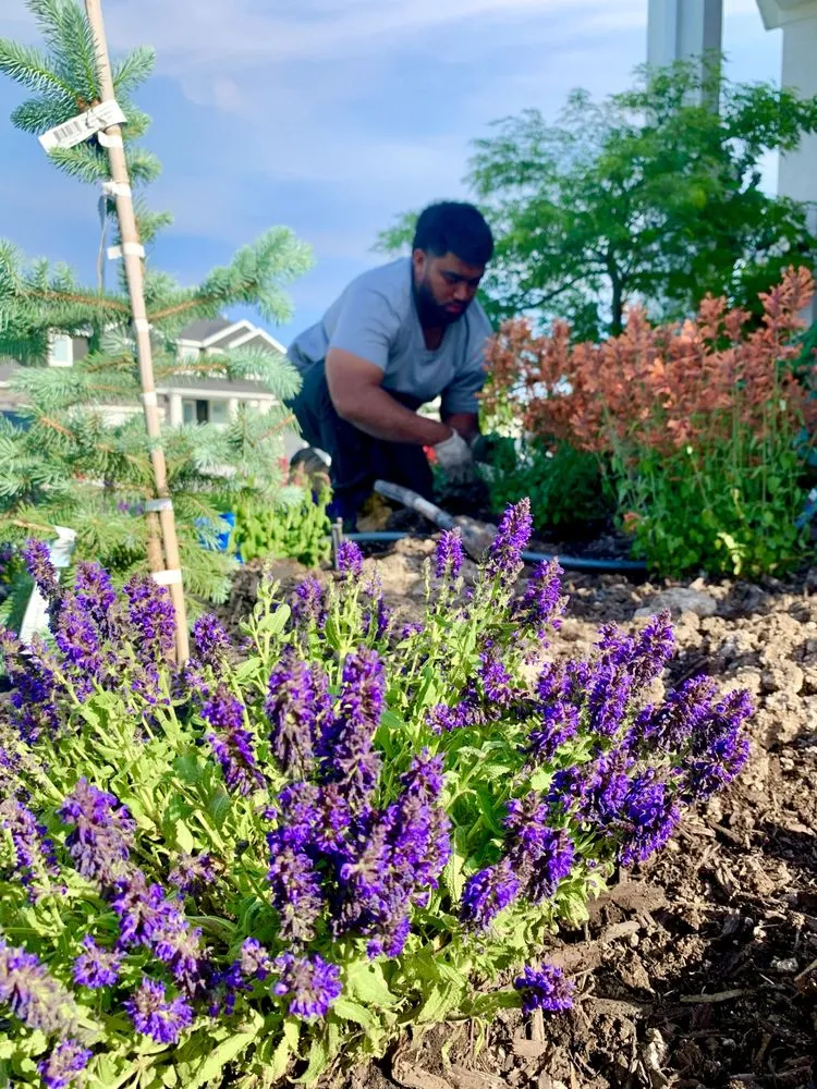 Expert lawn mowing service for residential properties across Magna, UT - Malie Tree service and concrete