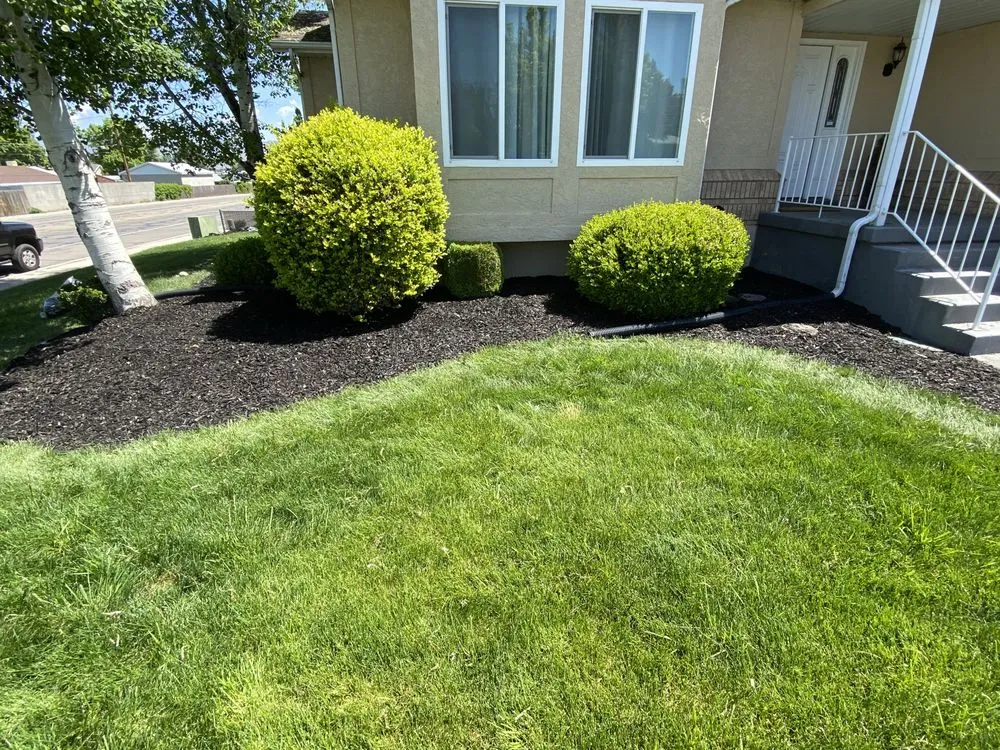 Trusted landscaping services with custom design in Magna, UT by Malie Tree service and concrete
