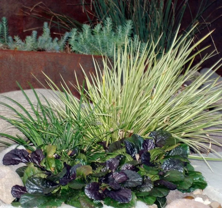 Custom landscaping services for outdoor upgrades in Houston, TX by Malik landscape & design