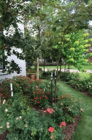 Top-rated lawn care service experts serving Houston, TX - Malik landscape & design