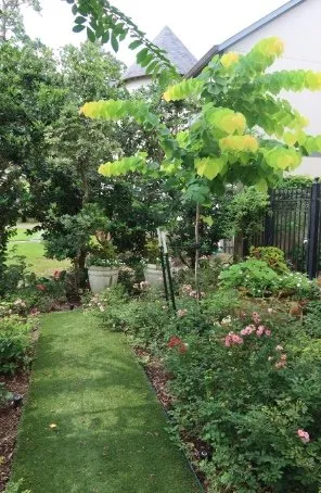 Trusted garden landscaping for year-round maintenance in Houston, TX by Malik landscape & design