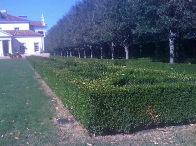 Expert lawn mowing service in Houston, TX - Malik landscape & design