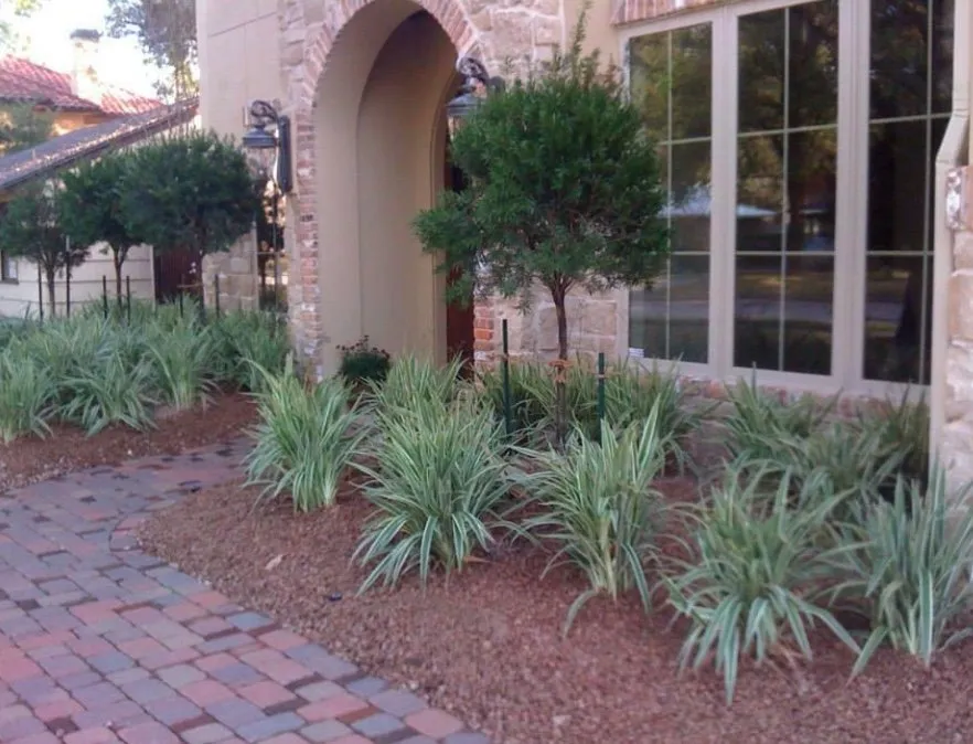 Trusted lawn care service in Houston, TX by Malik landscape & design