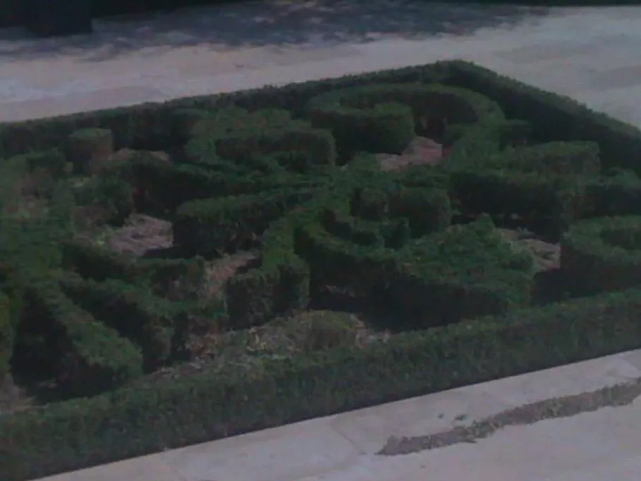 Top-rated yard maintenance in Houston, TX by Malik landscape & design