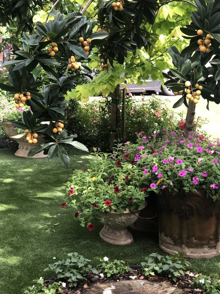 Local residential landscaping in Houston, TX - Malik landscape & design