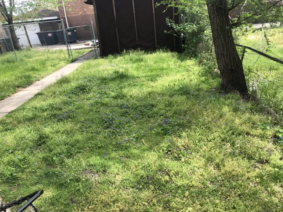 Custom landscape design near you across Hammond, IN - Maliks local hauling