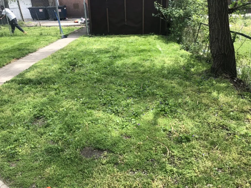 Custom landscape installation near you across Hammond, IN - Maliks local hauling