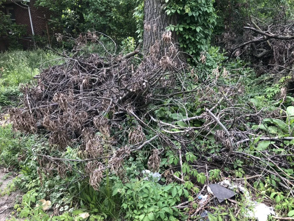 Professional lawn care service for homes across Hammond, IN - Maliks local hauling