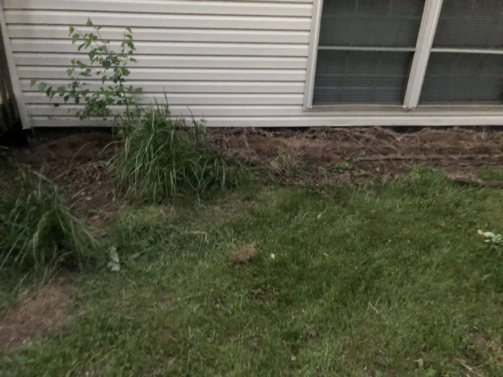 Trusted yard maintenance experts serving Hammond, IN - Maliks local hauling