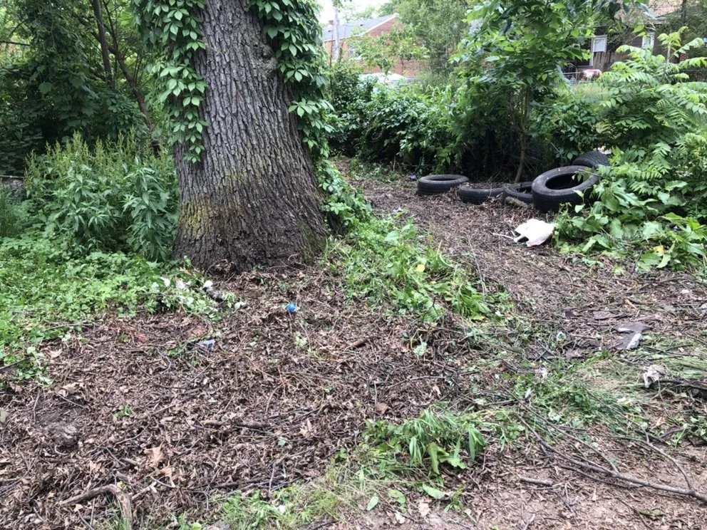 Professional yard cleanup service for year-round maintenance across Hammond, IN - Maliks local hauling