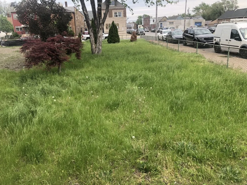 Affordable landscaping services in Hammond, IN by Maliks local hauling