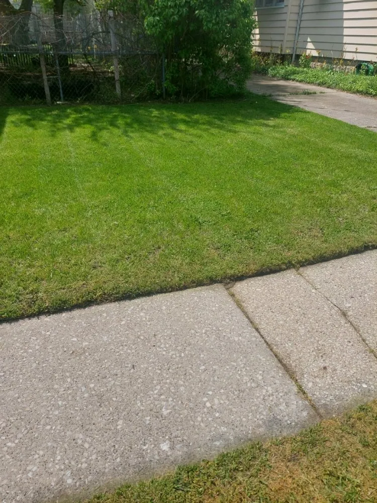 Trusted yard maintenance experts serving Toledo, OH - Maliks Moving & Cleanup Services