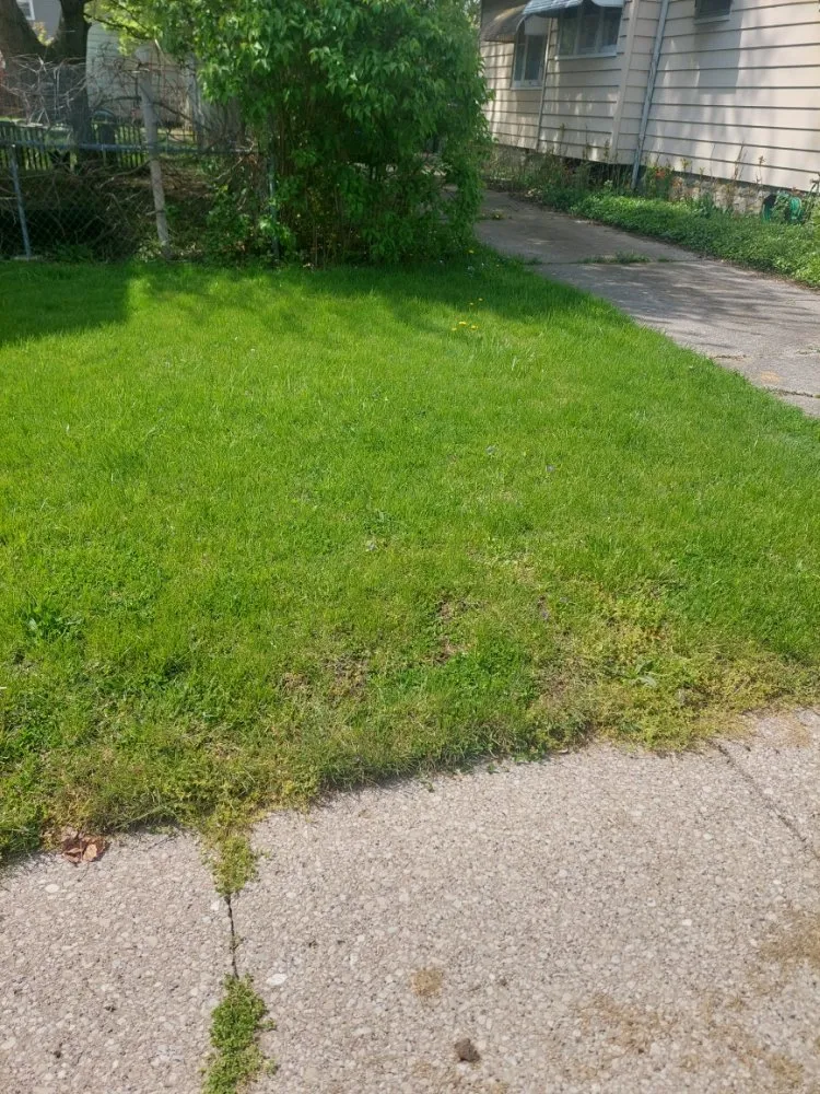 Top-rated garden landscaping in Toledo, OH - Maliks Moving & Cleanup Services