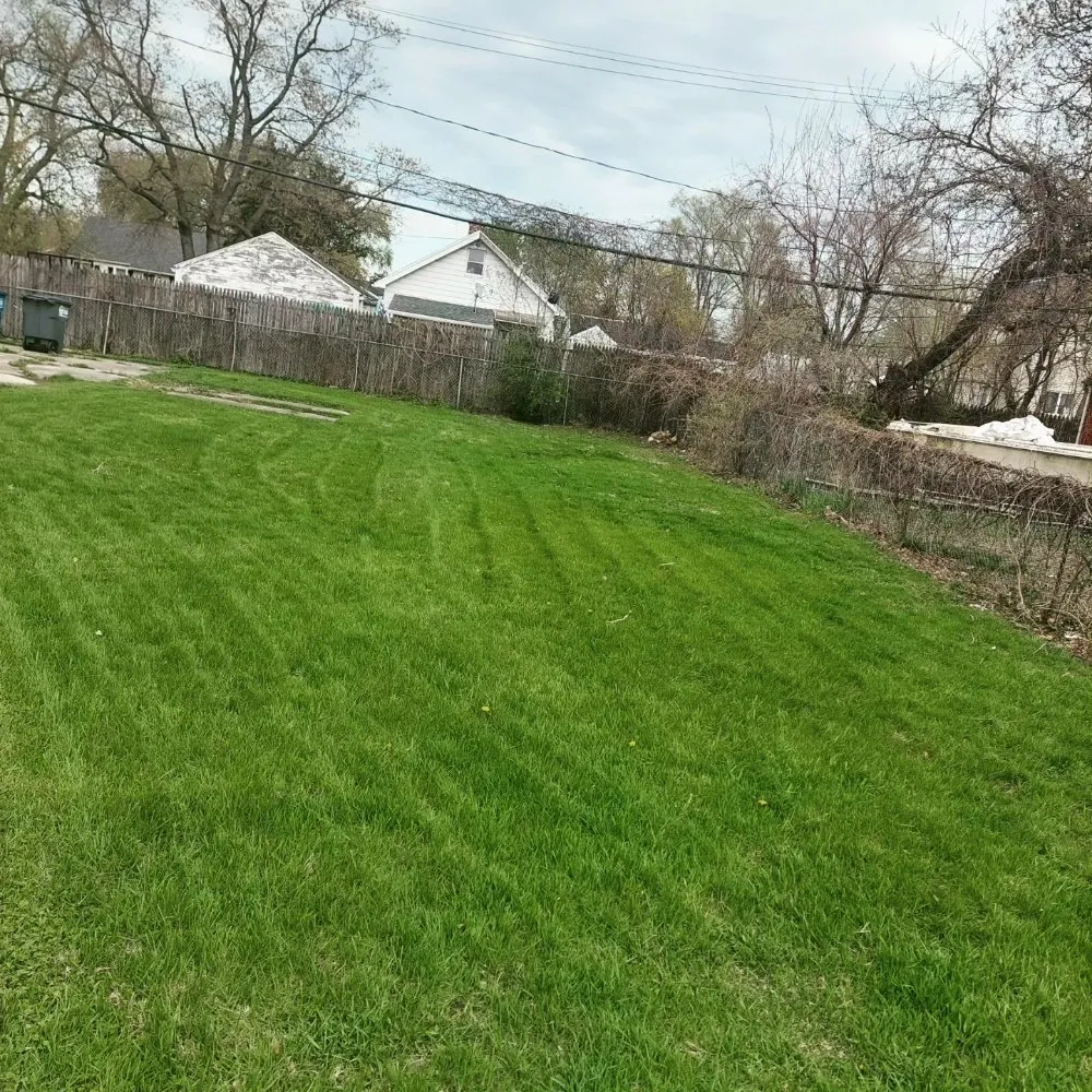 Trusted landscape installation experts serving Toledo, OH - Maliks Moving & Cleanup Services