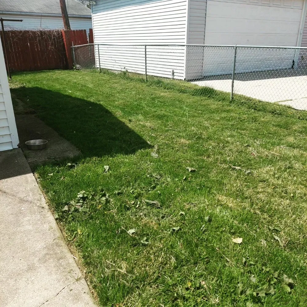 Affordable yard cleanup service for outdoor upgrades across Toledo, OH - Maliks Moving & Cleanup Services