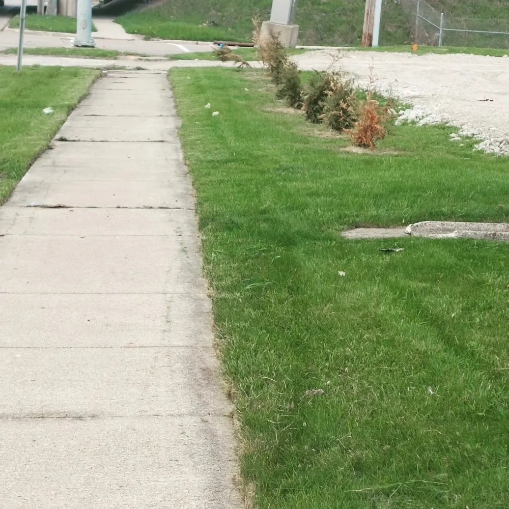 Reliable lawn mowing service in Toledo, OH - Maliks Moving & Cleanup Services