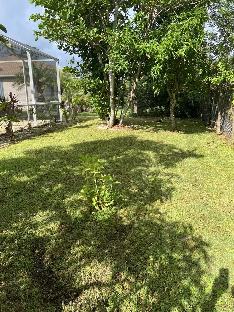 Local landscape design for homes across Port Charlotte, FL - Malisia records