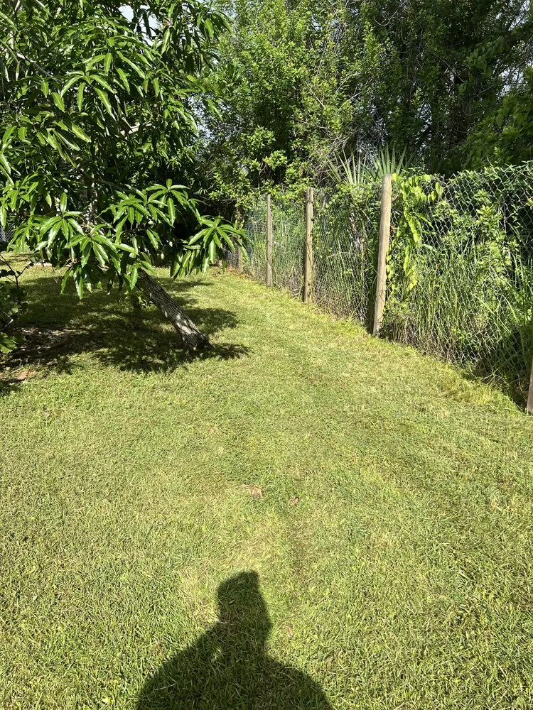 Professional landscape design in Port Charlotte, FL - Malisia records