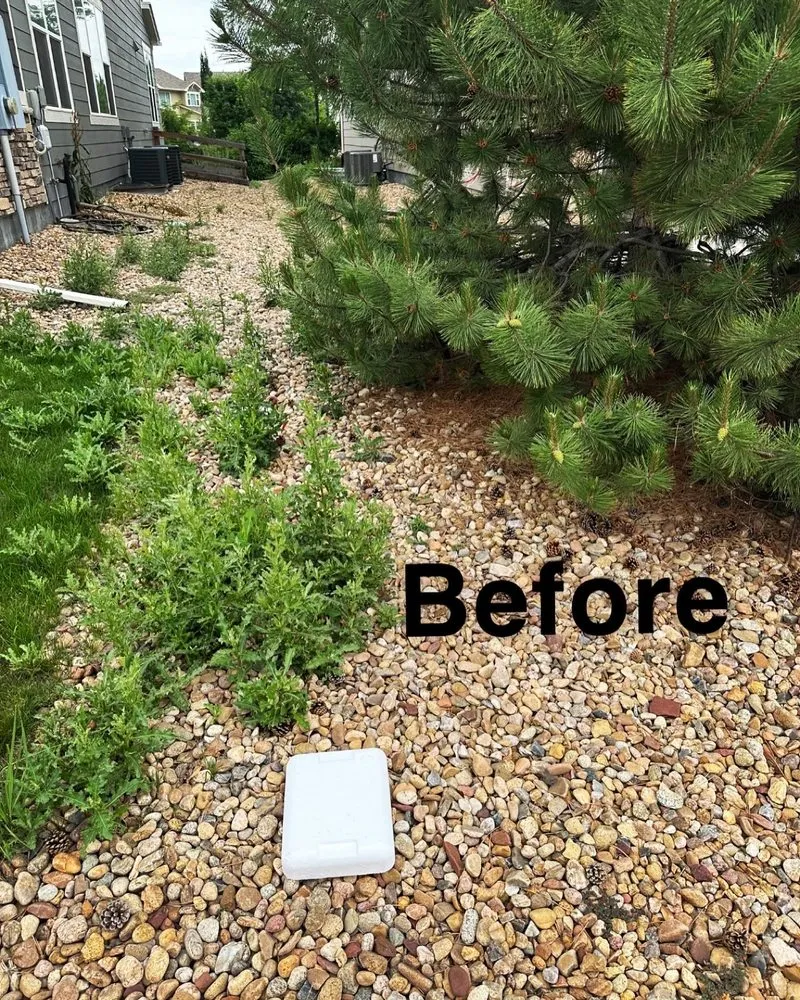 Reliable landscaping services experts serving Fort Collins, CO - Mallard Lawn Care