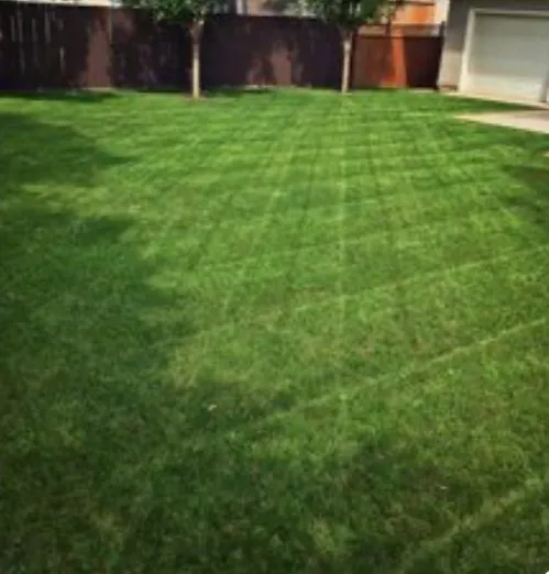 Affordable yard maintenance for year-round maintenance in Fort Collins, CO by Mallard Lawn Care