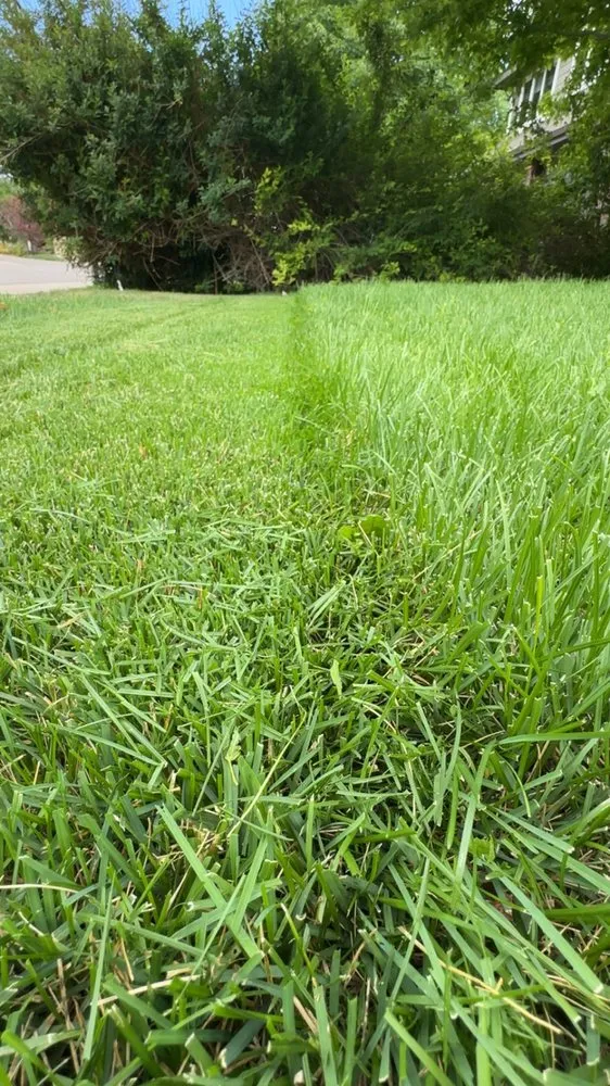 Reliable landscaping services experts serving Fort Collins, CO - Mallard Lawn Care