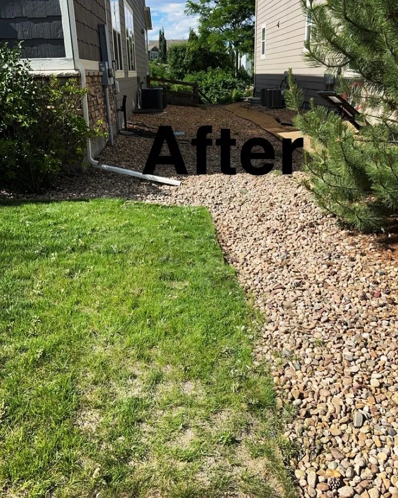 Affordable yard maintenance in Fort Collins, CO by Mallard Lawn Care